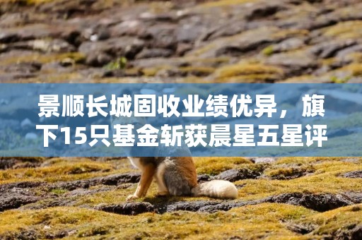 景顺长城固收业绩优异，旗下15只基金斩获晨星五星评级