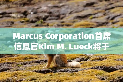 Marcus Corporation首席信息官Kim M. Lueck将于8月退休