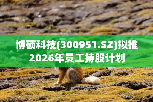 博硕科技(300951.SZ)拟推2026年员工持股计划