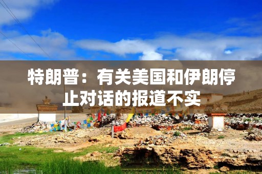 特朗普：有关美国和伊朗停止对话的报道不实
