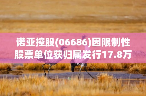 诺亚控股(06686)因限制性股票单位获归属发行17.8万股