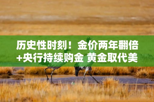 历史性时刻！金价两年翻倍+央行持续购金 黄金取代美债成全球央行第一大储备资产