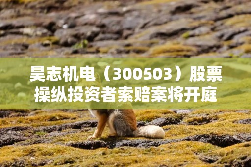昊志机电（300503）股票操纵投资者索赔案将开庭