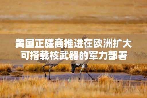 美国正磋商推进在欧洲扩大可搭载核武器的军力部署