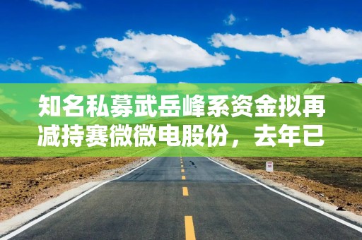 知名私募武岳峰系资金拟再减持赛微微电股份，去年已累计减持超18%
