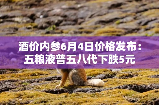 酒价内参6月4日价格发布：五粮液普五八代下跌5元