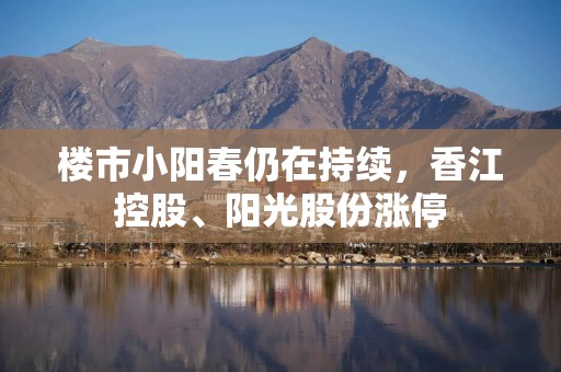 楼市小阳春仍在持续，香江控股、阳光股份涨停