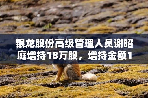 银龙股份高级管理人员谢昭庭增持18万股，增持金额147.42万元