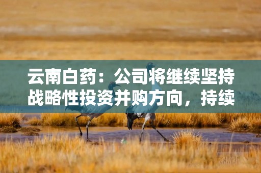 云南白药：公司将继续坚持战略性投资并购方向，持续提升对并购标的的专业研判与筛选能力