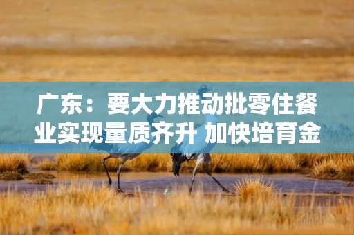 广东：要大力推动批零住餐业实现量质齐升 加快培育金融业成为强大的支柱性产业