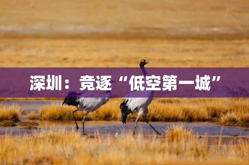 深圳：竞逐“低空第一城”