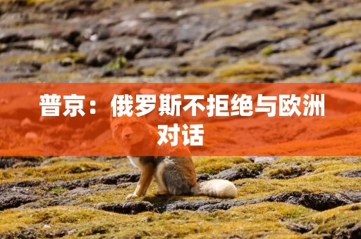 普京：俄罗斯不拒绝与欧洲对话