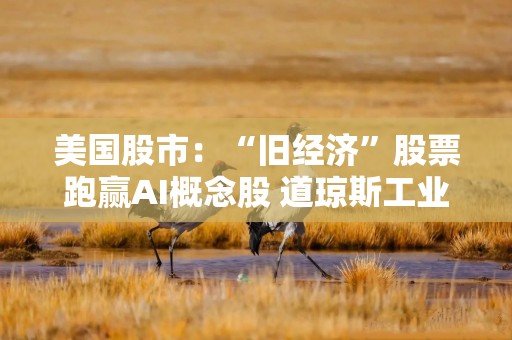 美国股市：“旧经济”股票跑赢AI概念股 道琼斯工业平均指数创新高