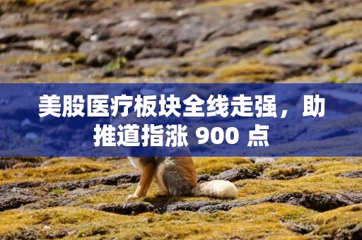 美股医疗板块全线走强，助推道指涨 900 点
