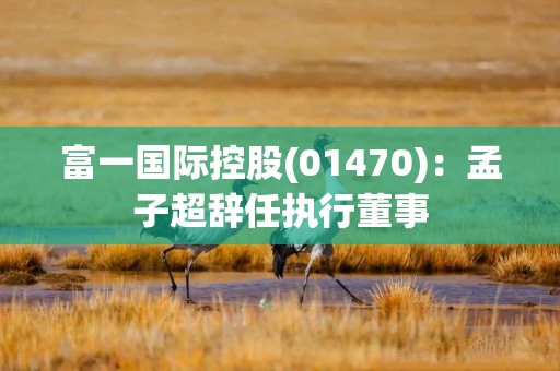 富一国际控股(01470)：孟子超辞任执行董事