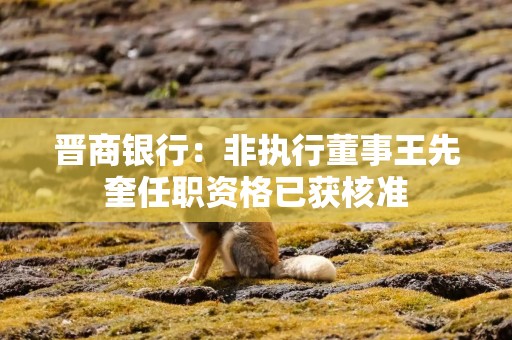 晋商银行：非执行董事王先奎任职资格已获核准