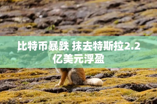 比特币暴跌 抹去特斯拉2.2亿美元浮盈
