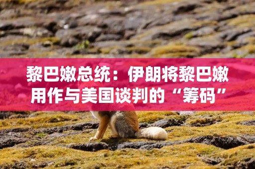 黎巴嫩总统：伊朗将黎巴嫩用作与美国谈判的“筹码”