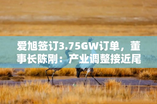 爱旭签订3.75GW订单，董事长陈刚：产业调整接近尾声