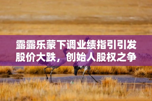 露露乐蒙下调业绩指引引发股价大跌，创始人股权之争成经营逆风