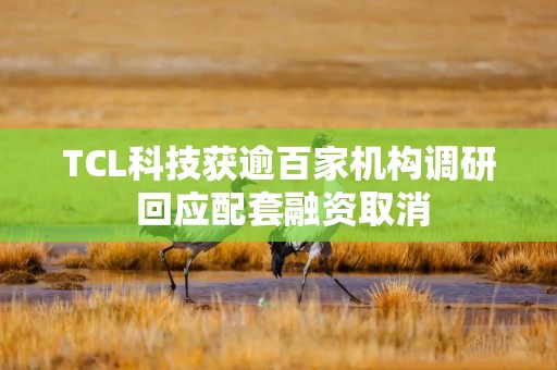 TCL科技获逾百家机构调研 回应配套融资取消