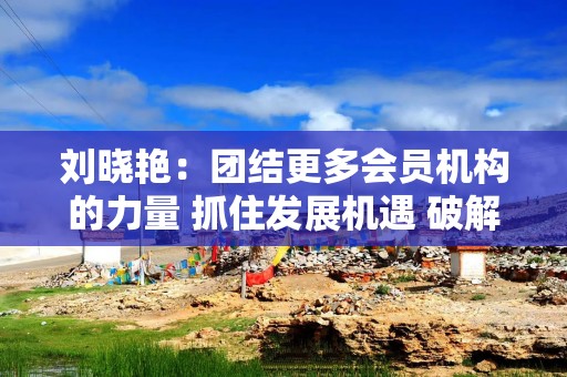 刘晓艳：团结更多会员机构的力量 抓住发展机遇 破解发展难题 助力行业高速发展