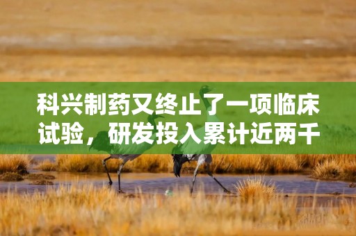 科兴制药又终止了一项临床试验，研发投入累计近两千万元