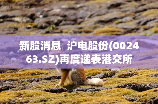 新股消息  沪电股份(002463.SZ)再度递表港交所