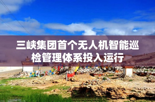 三峡集团首个无人机智能巡检管理体系投入运行