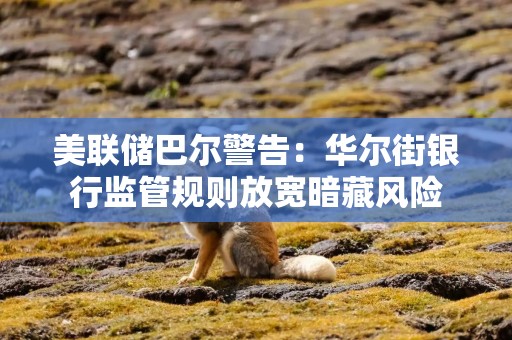美联储巴尔警告：华尔街银行监管规则放宽暗藏风险