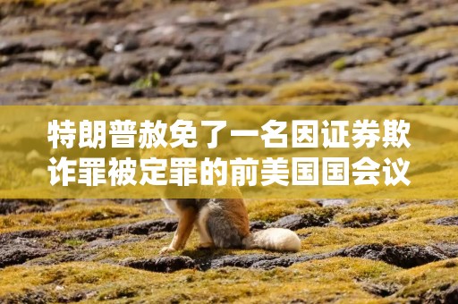 特朗普赦免了一名因证券欺诈罪被定罪的前美国国会议员