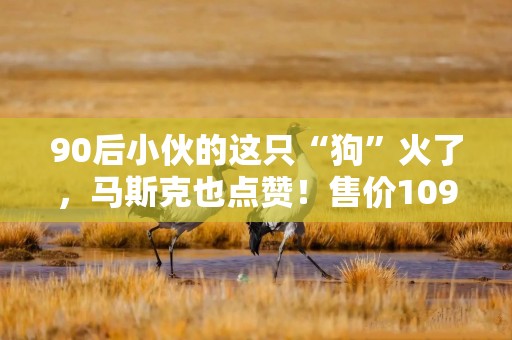 90后小伙的这只“狗”火了，马斯克也点赞！售价109万元，能越野“跑酷”，还可以当坐骑！外国网友：这就是未来的感觉