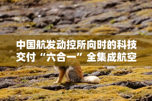 中国航发动控所向时的科技交付“六合一”全集成航空电机