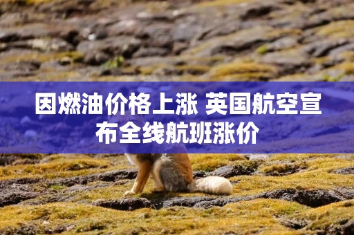 因燃油价格上涨 英国航空宣布全线航班涨价