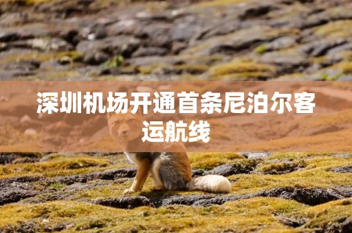 深圳机场开通首条尼泊尔客运航线