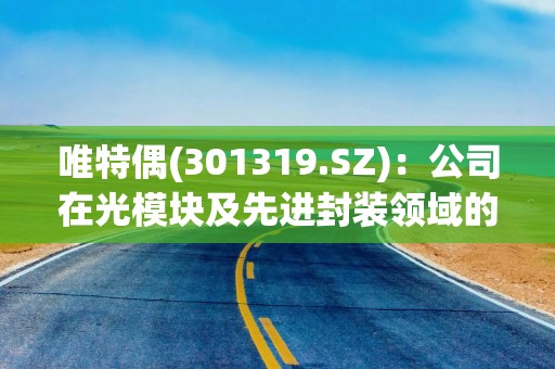 唯特偶(301319.SZ)：公司在光模块及先进封装领域的营收占比贡献率均不到1%