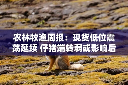 农林牧渔周报：现货低位震荡延续 仔猪端转弱或影响后续去化节奏