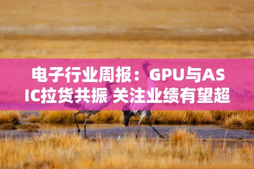 电子行业周报：GPU与ASIC拉货共振 关注业绩有望超预期方向
