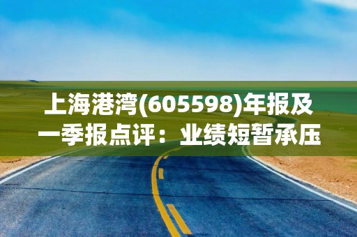 上海港湾(605598)年报及一季报点评：业绩短暂承压 新业务高增长可期