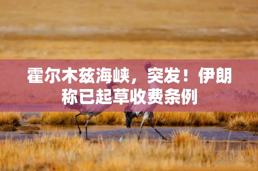 霍尔木兹海峡，突发！伊朗称已起草收费条例