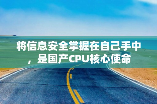 将信息安全掌握在自己手中，是国产CPU核心使命