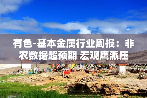 有色-基本金属行业周报：非农数据超预期 宏观鹰派压制金属价格