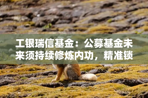 工银瑞信基金：公募基金未来须持续修炼内功，精准锁定具备长远价值的优质标的