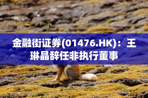 金融街证券(01476.HK)：王琳晶辞任非执行董事
