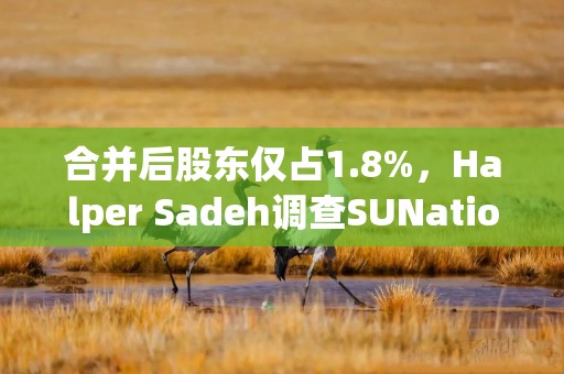 合并后股东仅占1.8%，Halper Sadeh调查SUNation Energy交易公平性