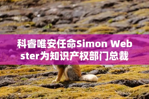 科睿唯安任命Simon Webster为知识产权部门总裁