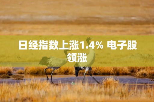 日经指数上涨1.4% 电子股领涨