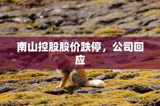 南山控股股价跌停，公司回应
