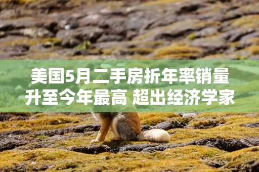 美国5月二手房折年率销量升至今年最高 超出经济学家预期