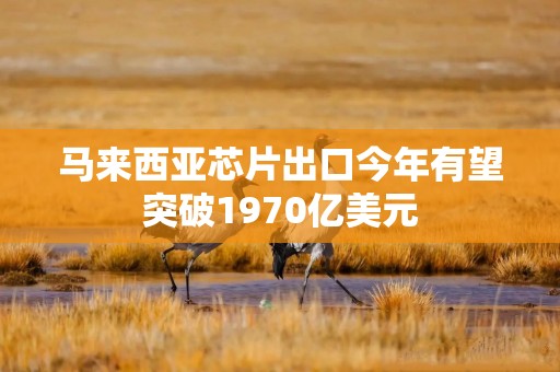 马来西亚芯片出口今年有望突破1970亿美元